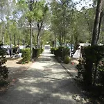 Lacona